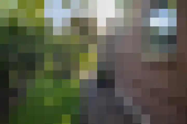 Dorpsstraat 5 Assendelft thumbnail 50