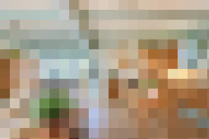 Dorpsstraat 5 Assendelft thumbnail 8
