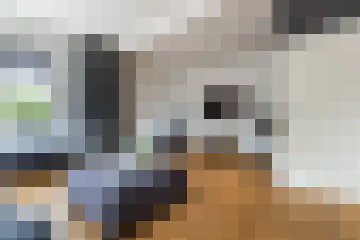 Dorpsstraat 5 Broek op Langedijk thumbnail 12