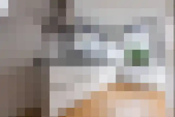 Dorpsstraat 5 Broek op Langedijk thumbnail 17