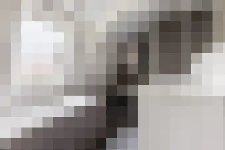 Dorpsstraat 5 Broek op Langedijk thumbnail 30