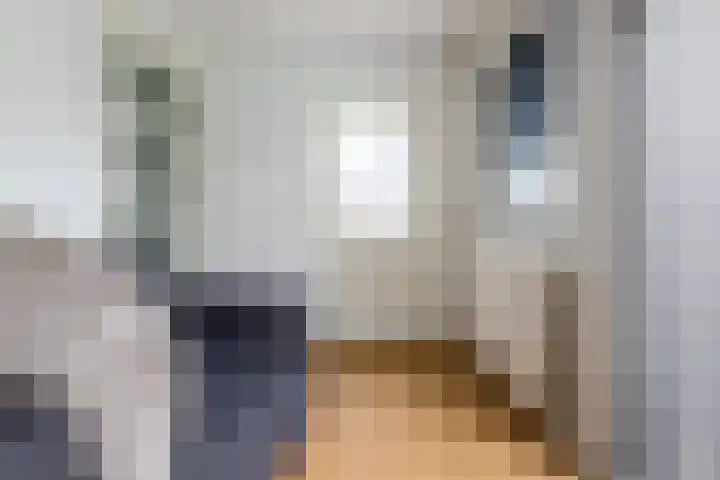 Dorpsstraat 5 Broek op Langedijk thumbnail 6