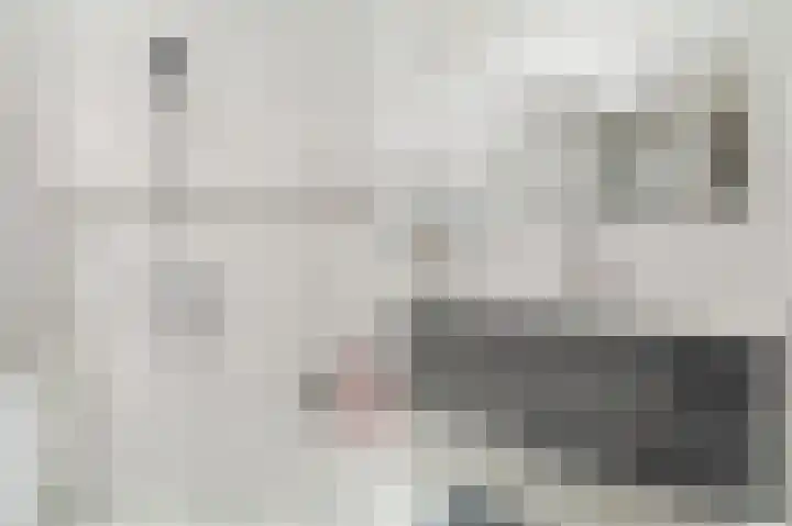 Dorpsstraat 5 Est thumbnail 23