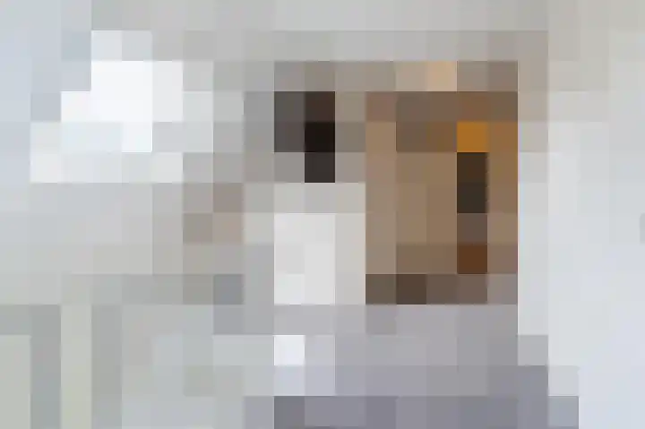 Dorpsstraat 5 Est thumbnail 28