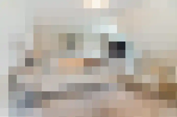 Dorpsstraat 5 Est thumbnail 30