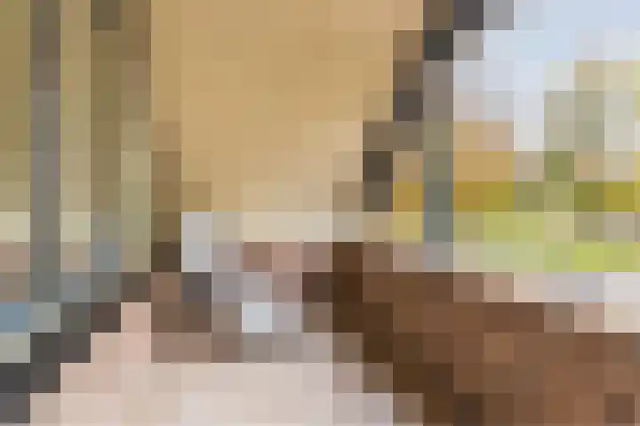 Dorpsstraat 5 Est thumbnail 33