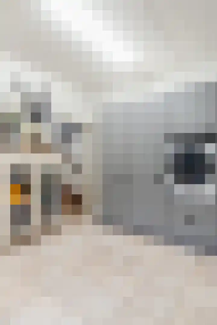 Dorpsstraat 5 Est thumbnail 47