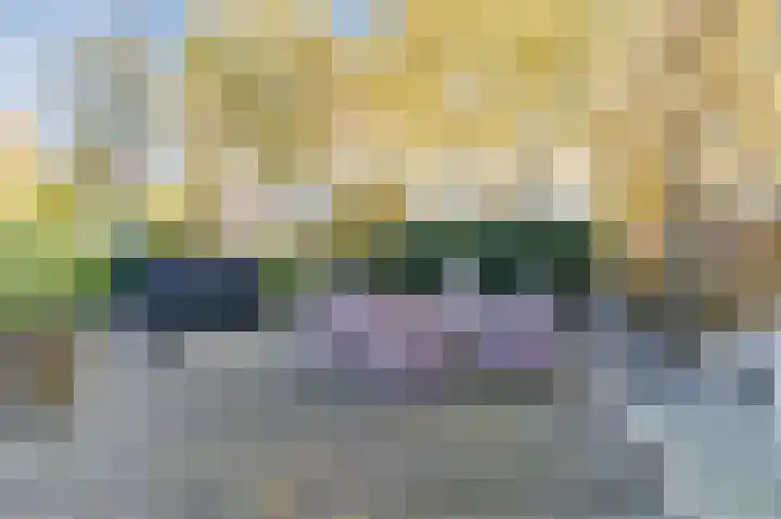 Dorpsstraat 5 Est thumbnail 52