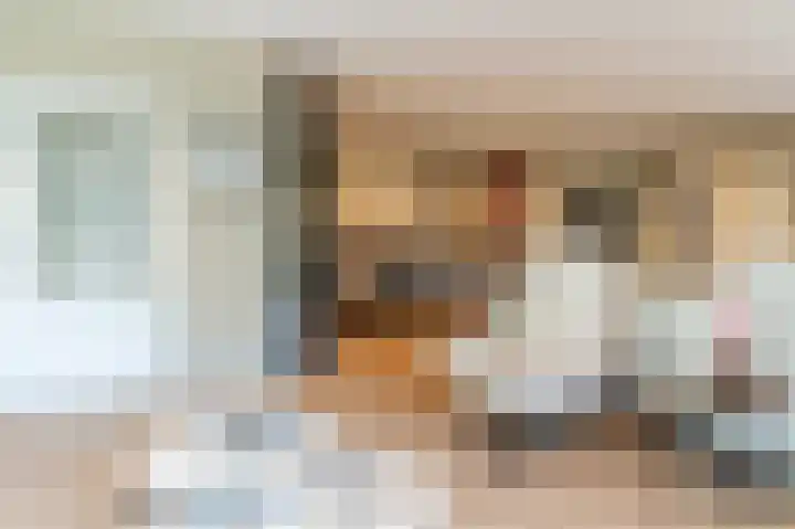 Dorpsstraat 5 Est thumbnail 6