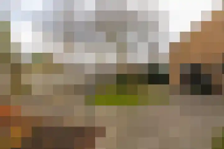 Dorpsstraat 5 Meliskerke thumbnail 24