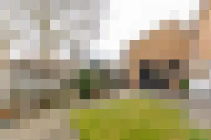 Dorpsstraat 5 Meliskerke thumbnail 25