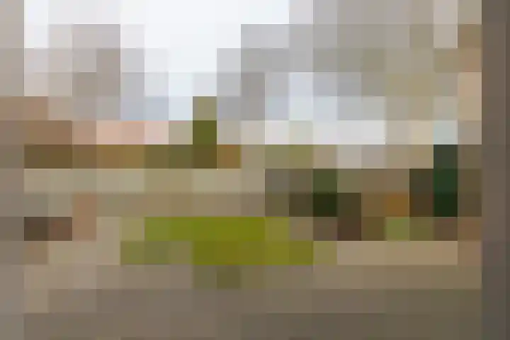 Dorpsstraat 5 Meliskerke thumbnail 26