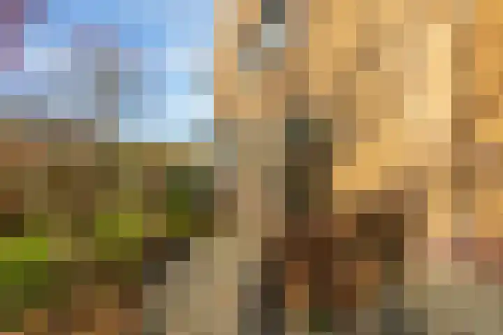 Dorpsstraat 5 Meliskerke thumbnail 30