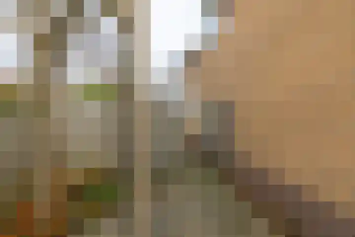 Dorpsstraat 5 Meliskerke thumbnail 31