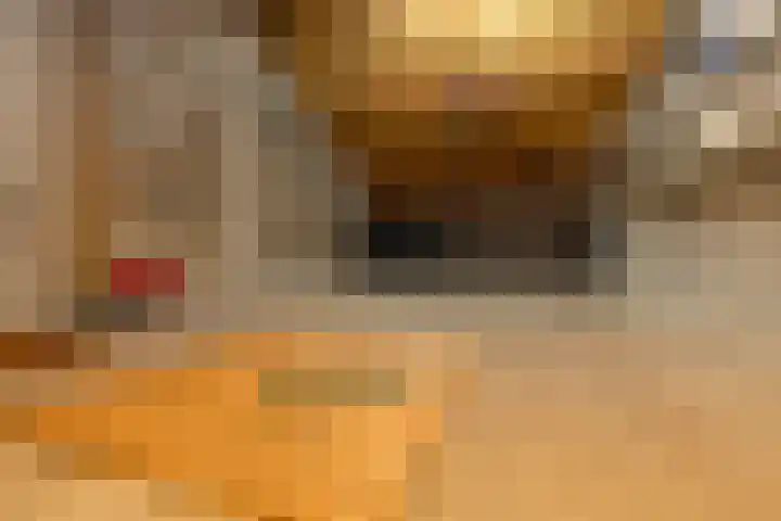 Dorpsstraat 5 Meliskerke thumbnail 35