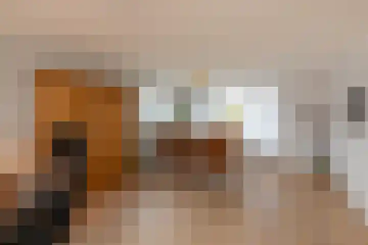 Dorpsstraat 5 Meliskerke thumbnail 8