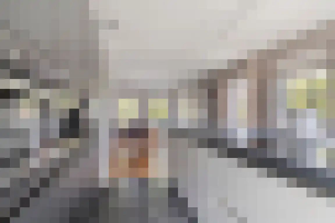 Dorpsstraat 5 Nibbixwoud thumbnail 12