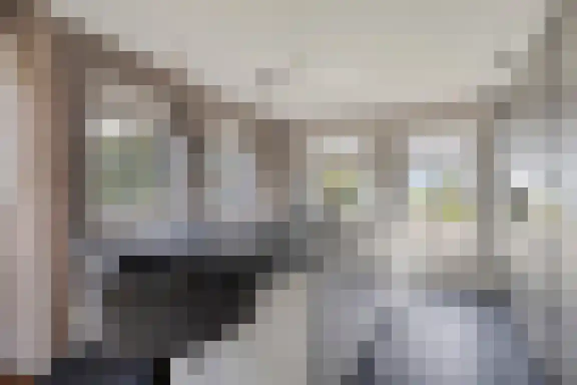 Dorpsstraat 5 Nibbixwoud thumbnail 13