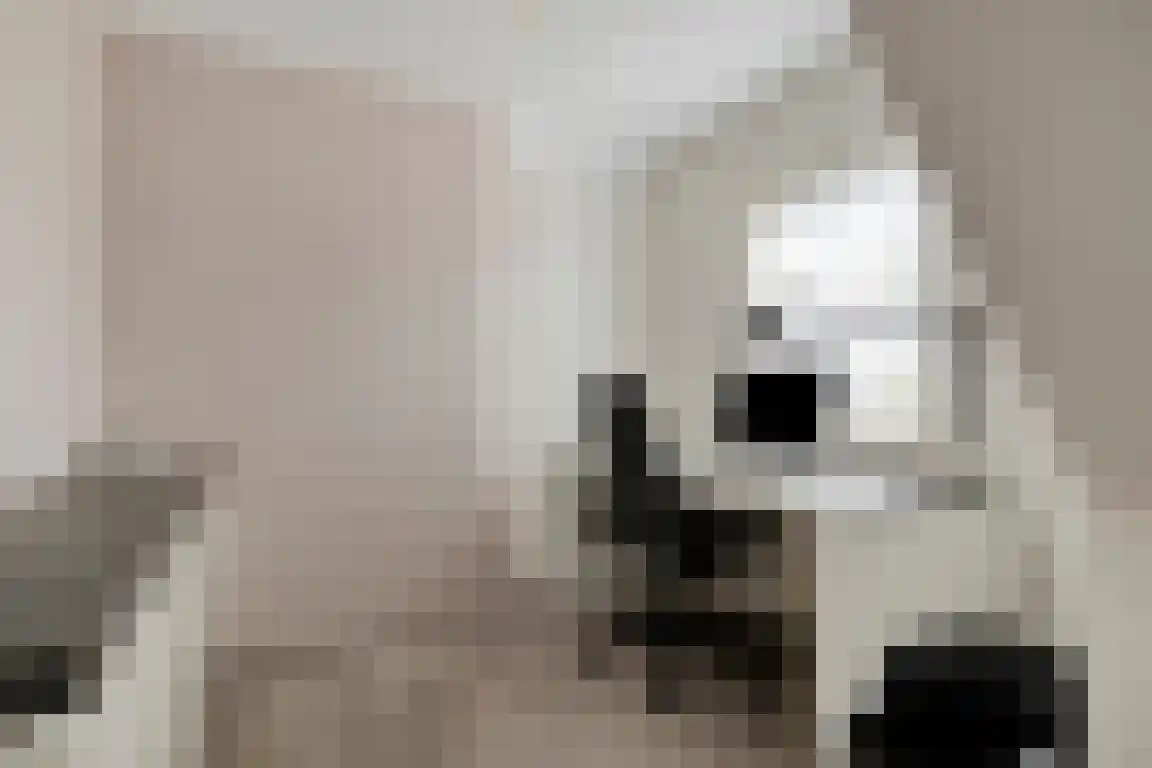 Dorpsstraat 5 Nibbixwoud thumbnail 17