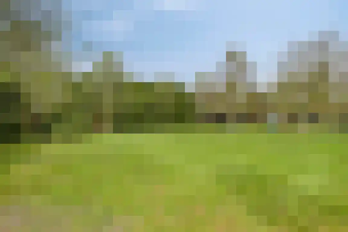 Dorpsstraat 5 Nibbixwoud thumbnail 28