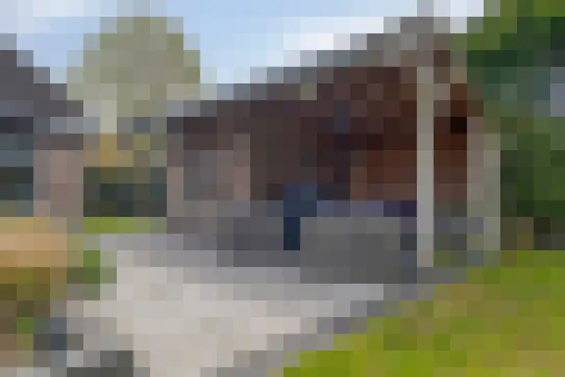Dorpsstraat 5 Nibbixwoud thumbnail 30