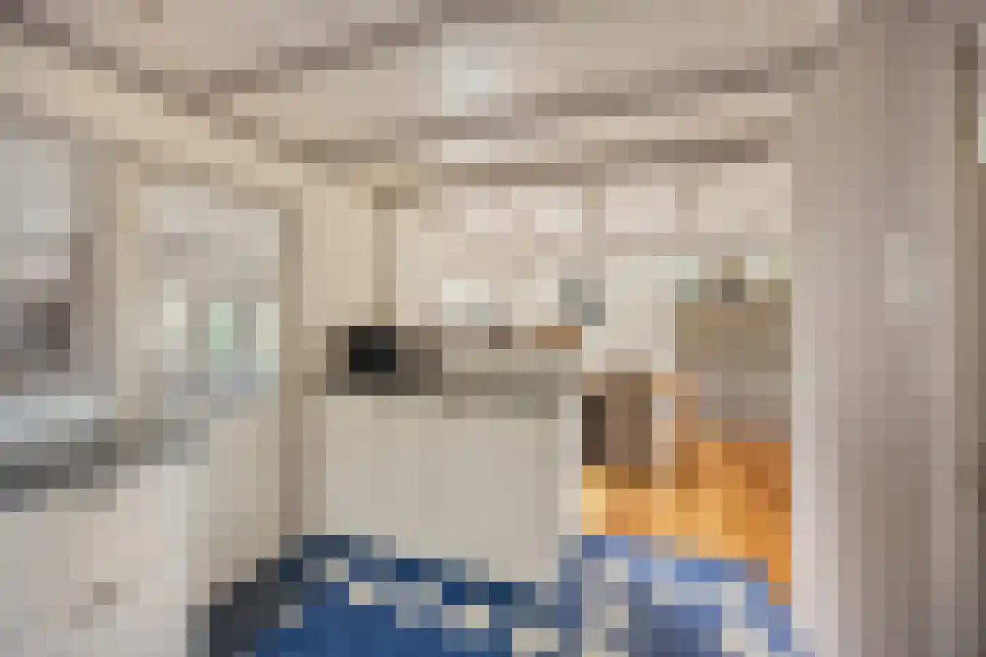 Dorpsstraat 5 Nieuwe Niedorp thumbnail 8