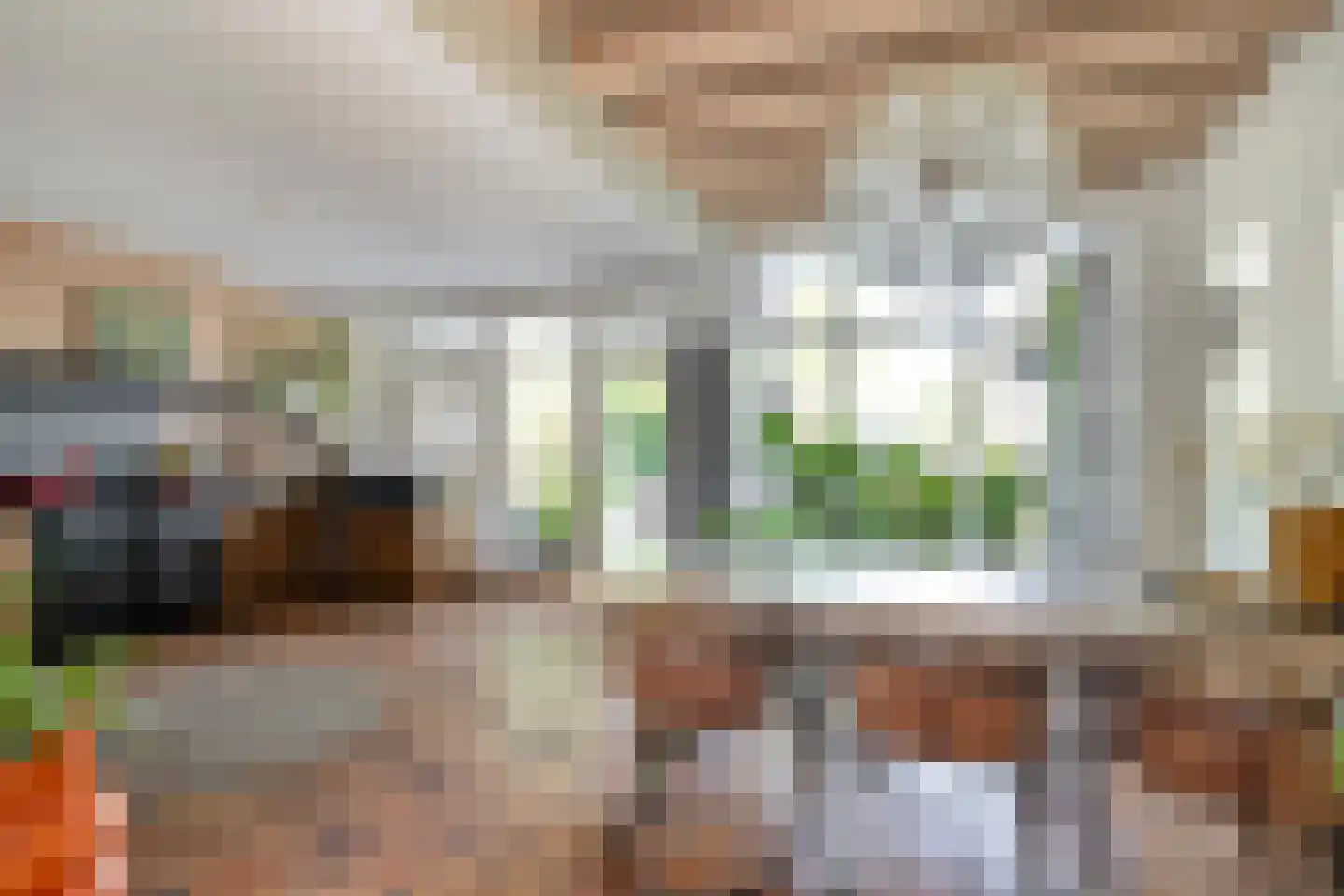 Dorpsstraat 5 Someren thumbnail 11
