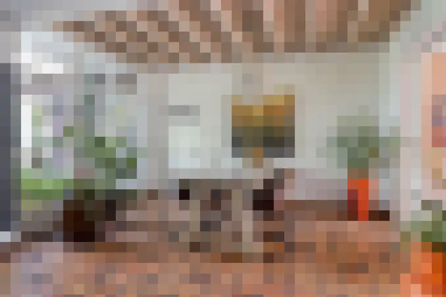 Dorpsstraat 5 Someren thumbnail 14