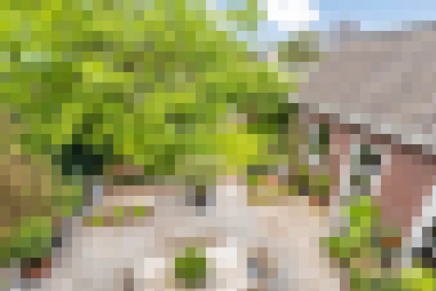 Dorpsstraat 5 Someren thumbnail 25