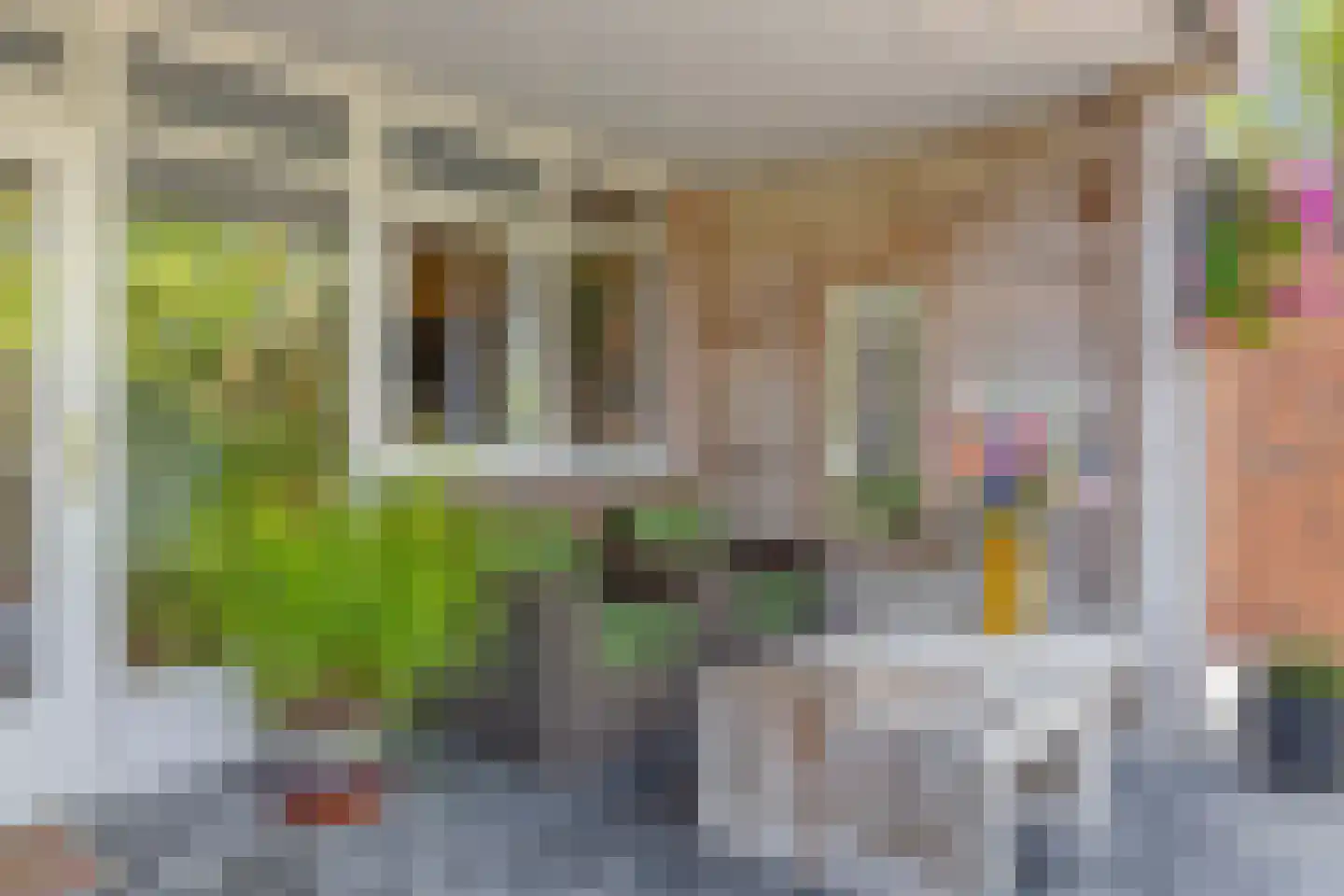 Dorpsstraat 5 Someren thumbnail 32