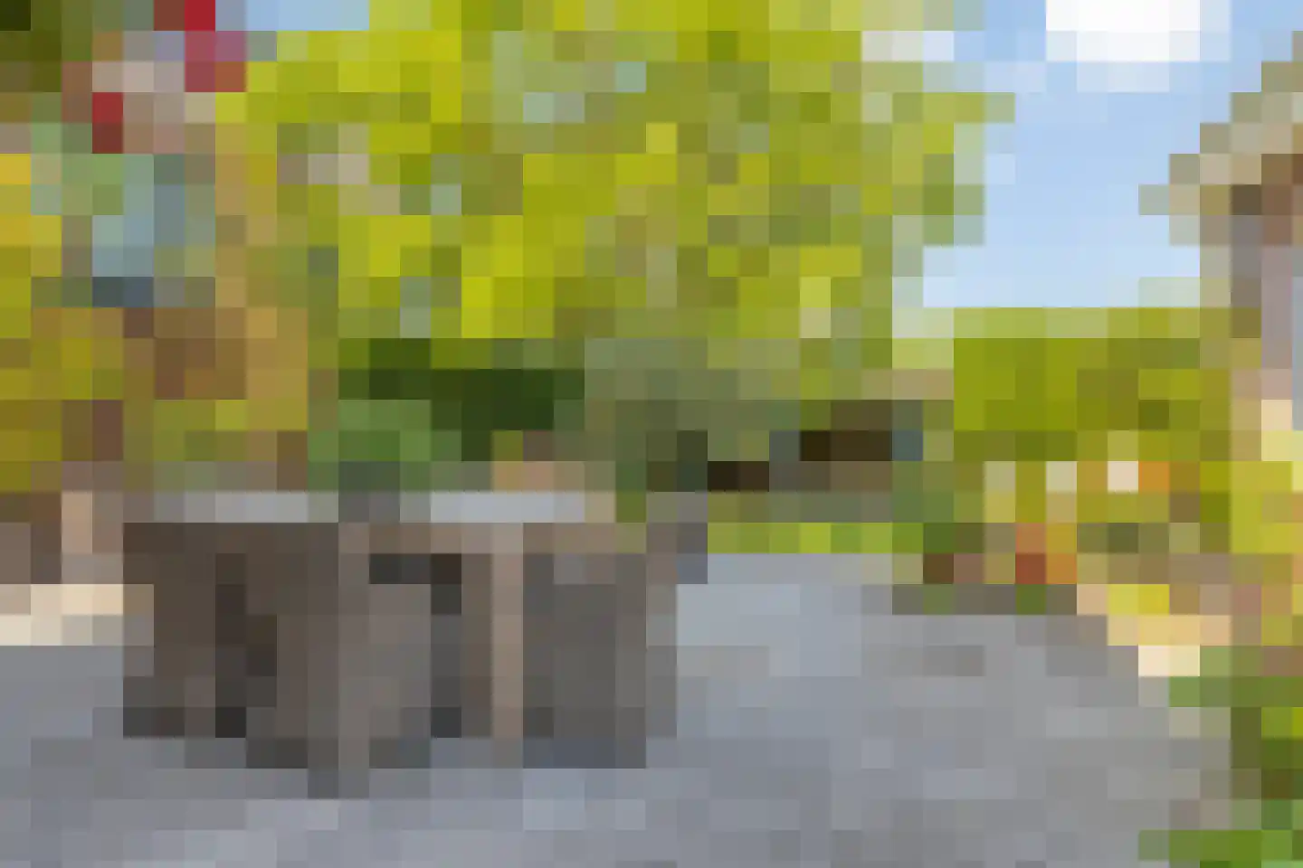 Dorpsstraat 5 Someren thumbnail 33
