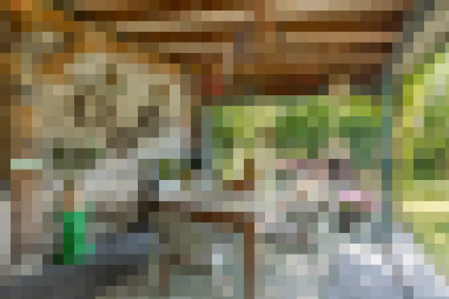 Dorpsstraat 5 Someren thumbnail 37