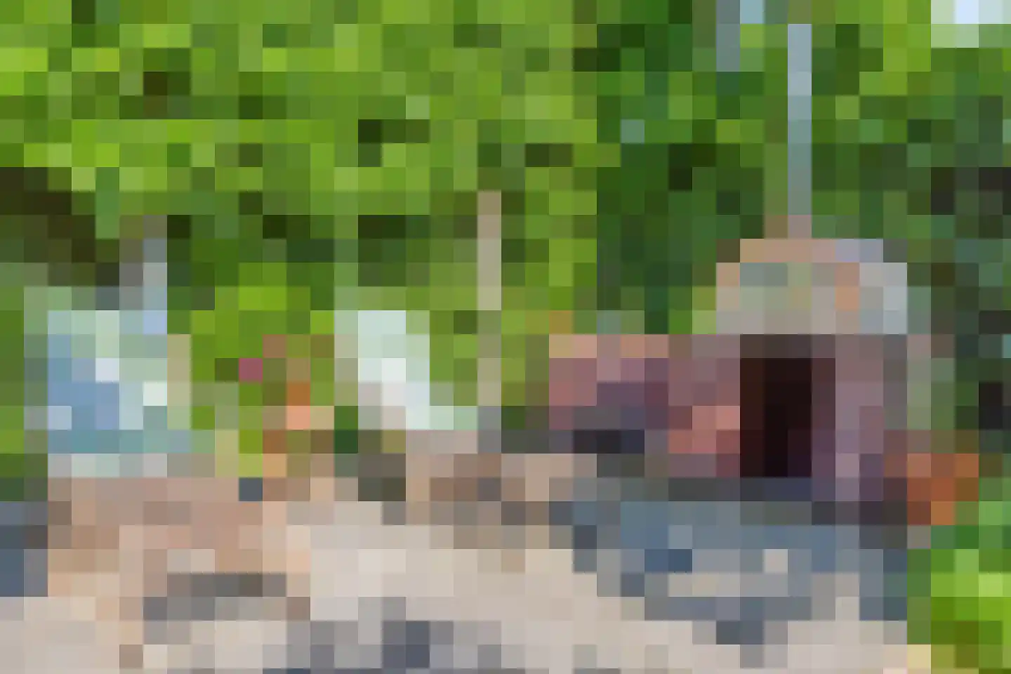 Dorpsstraat 5 Someren thumbnail 38