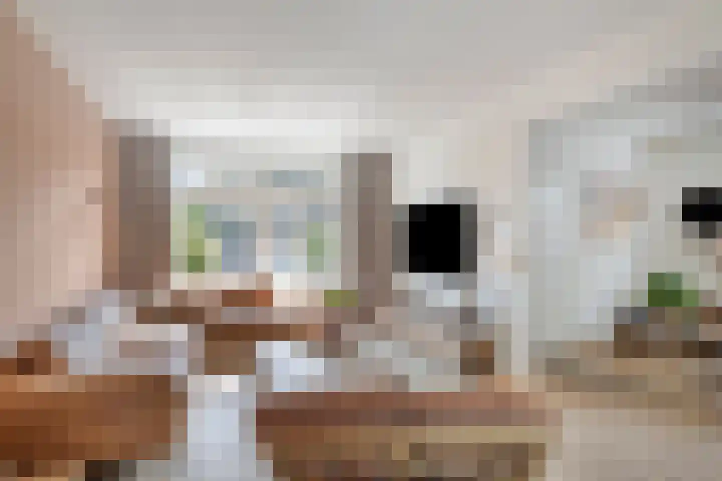 Dorpsstraat 5 Someren thumbnail 9