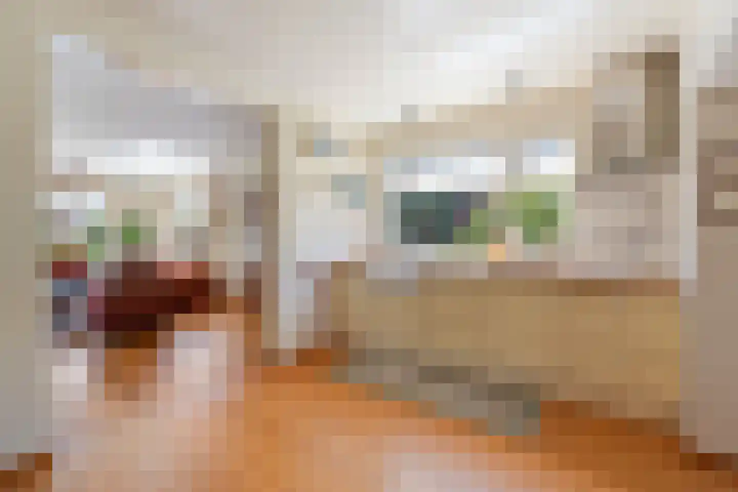 Dorpsstraat 5 Tuitjenhorn thumbnail 13