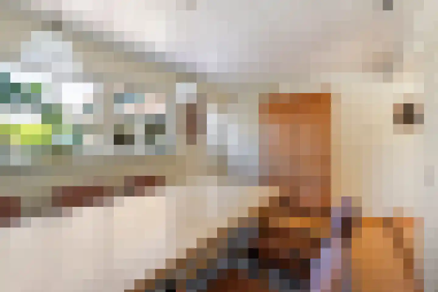Dorpsstraat 5 Tuitjenhorn thumbnail 16