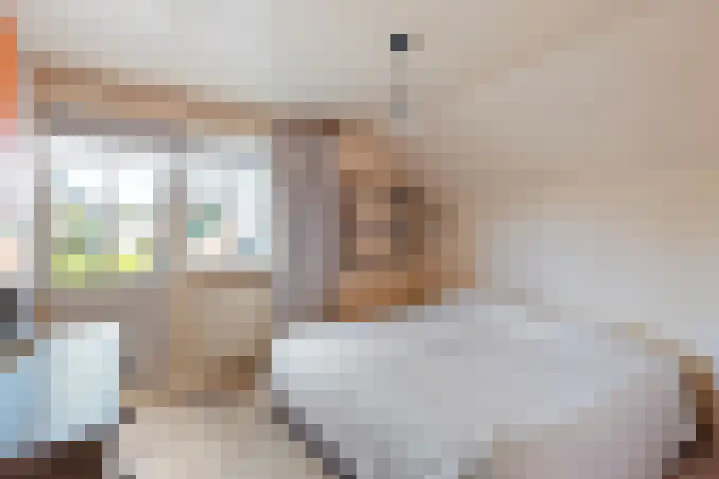 Dorpsstraat 5 Tuitjenhorn thumbnail 25