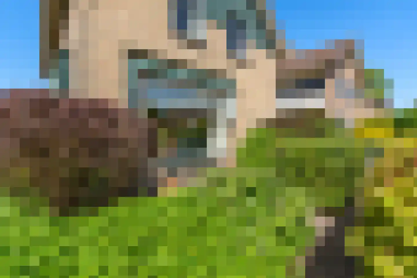 Dorpsstraat 5 Tuitjenhorn thumbnail 37