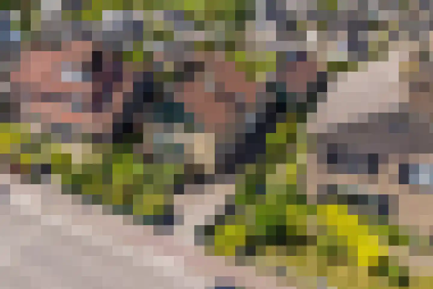 Dorpsstraat 5 Tuitjenhorn thumbnail 42