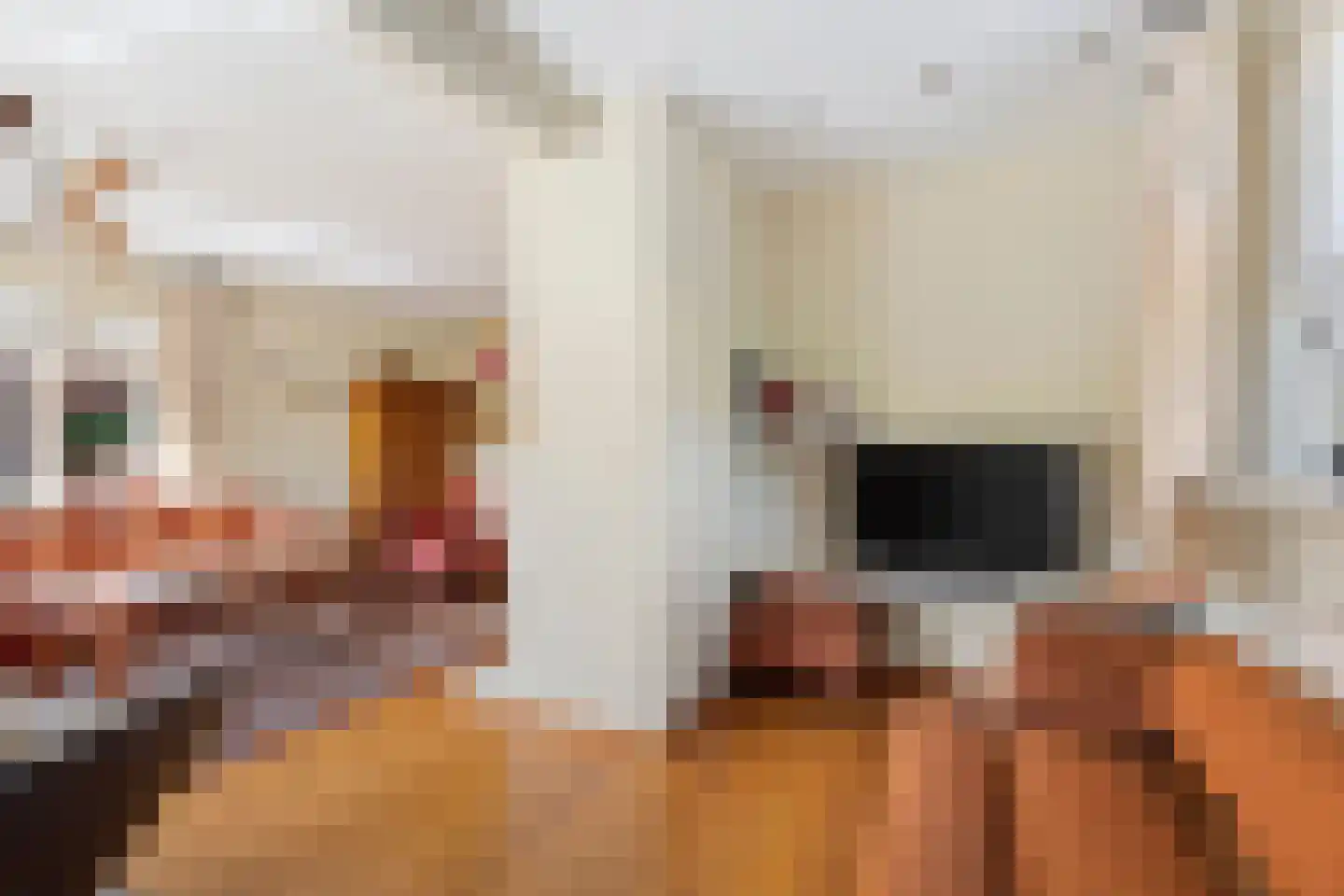 Dorpsstraat 5 Tuitjenhorn thumbnail 9