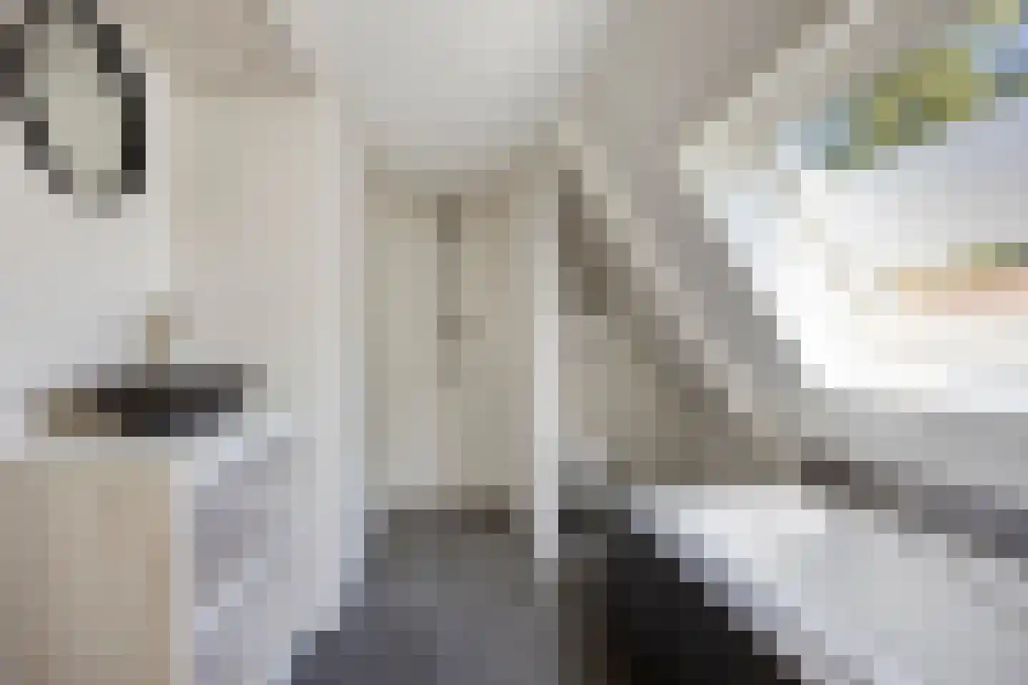 Dorpsstraat 5 Winkel thumbnail 23