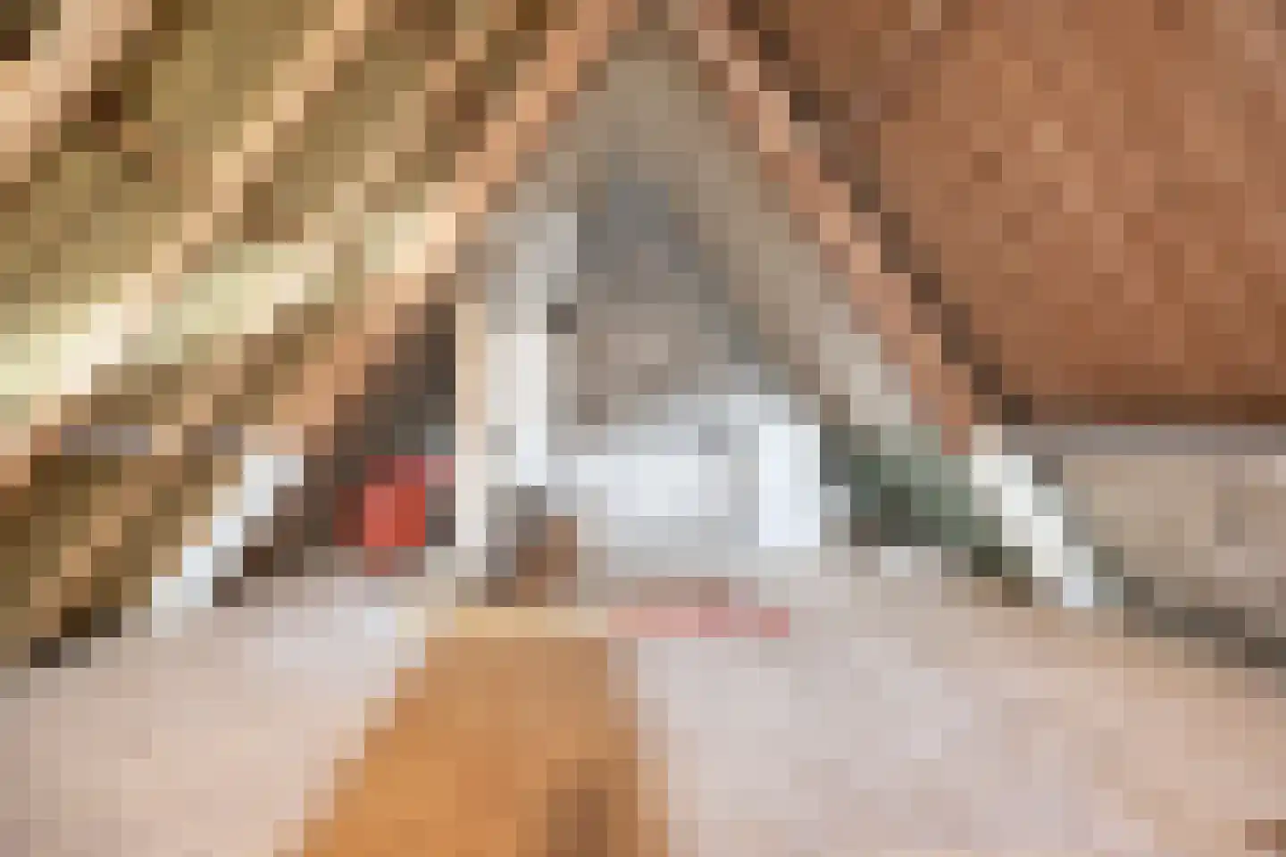 Dorpsstraat 5 Winkel thumbnail 30