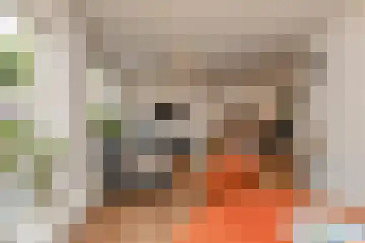 Dorpsstraat 50 Benthuizen thumbnail 10