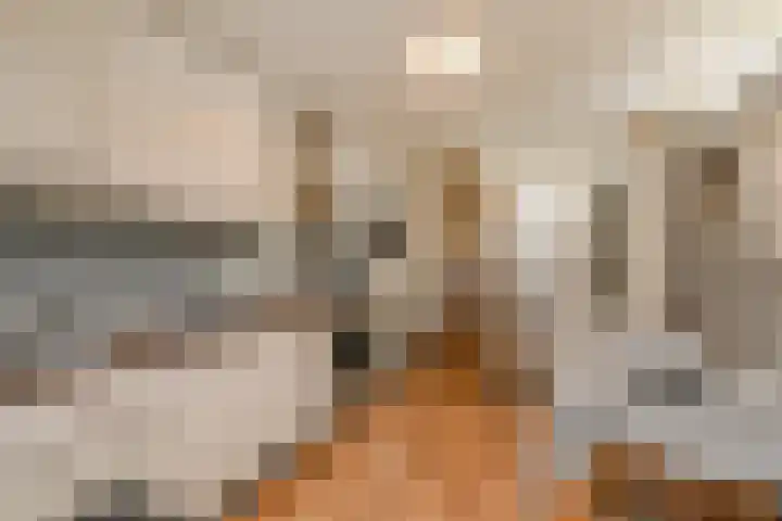 Dorpsstraat 50 Benthuizen thumbnail 18