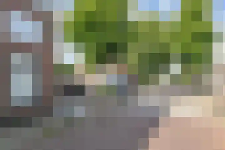 Dorpsstraat 50 Benthuizen thumbnail 34