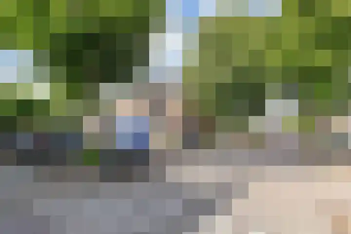 Dorpsstraat 50 Benthuizen thumbnail 36