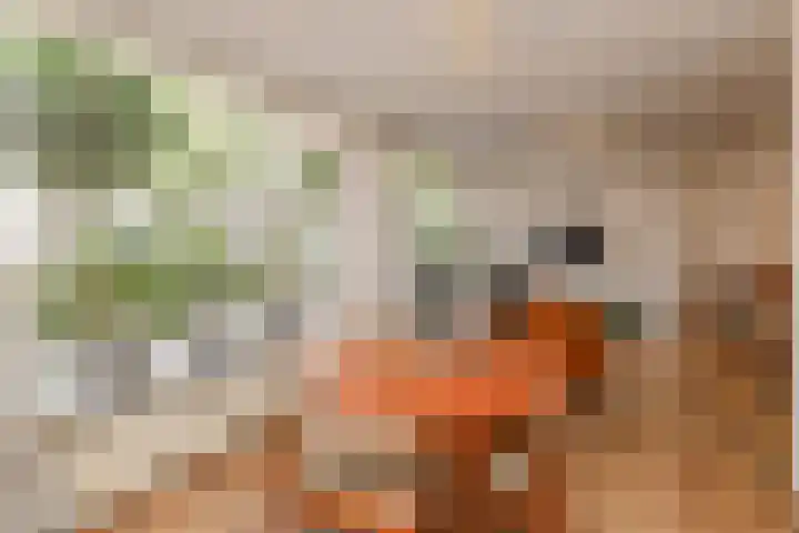 Dorpsstraat 50 Benthuizen thumbnail 8
