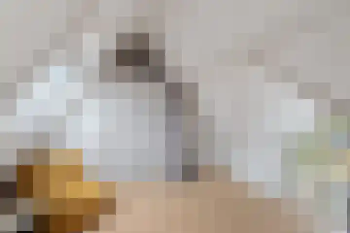 Dorpsstraat 50 Markenbinnen thumbnail 30