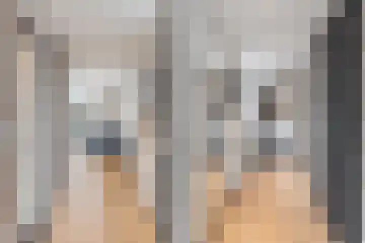 Dorpsstraat 50 Markenbinnen thumbnail 33