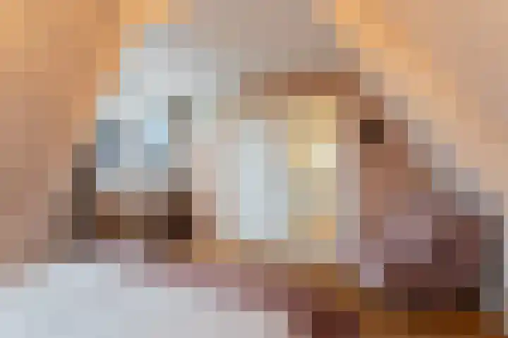 Dorpsstraat 50 Markenbinnen thumbnail 43
